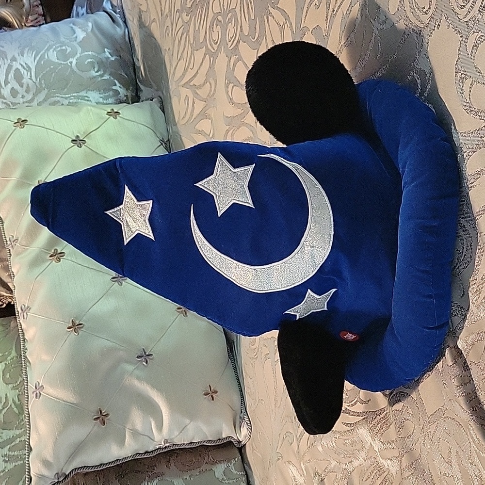 Sorcerer's apprentice character hat
